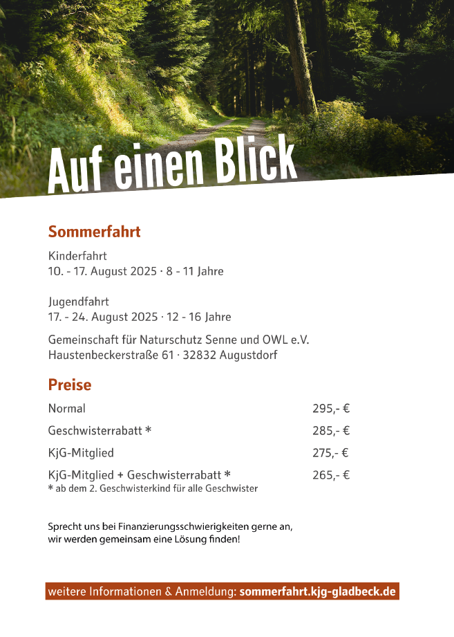 Flyer zur Sommerfahrt 2025